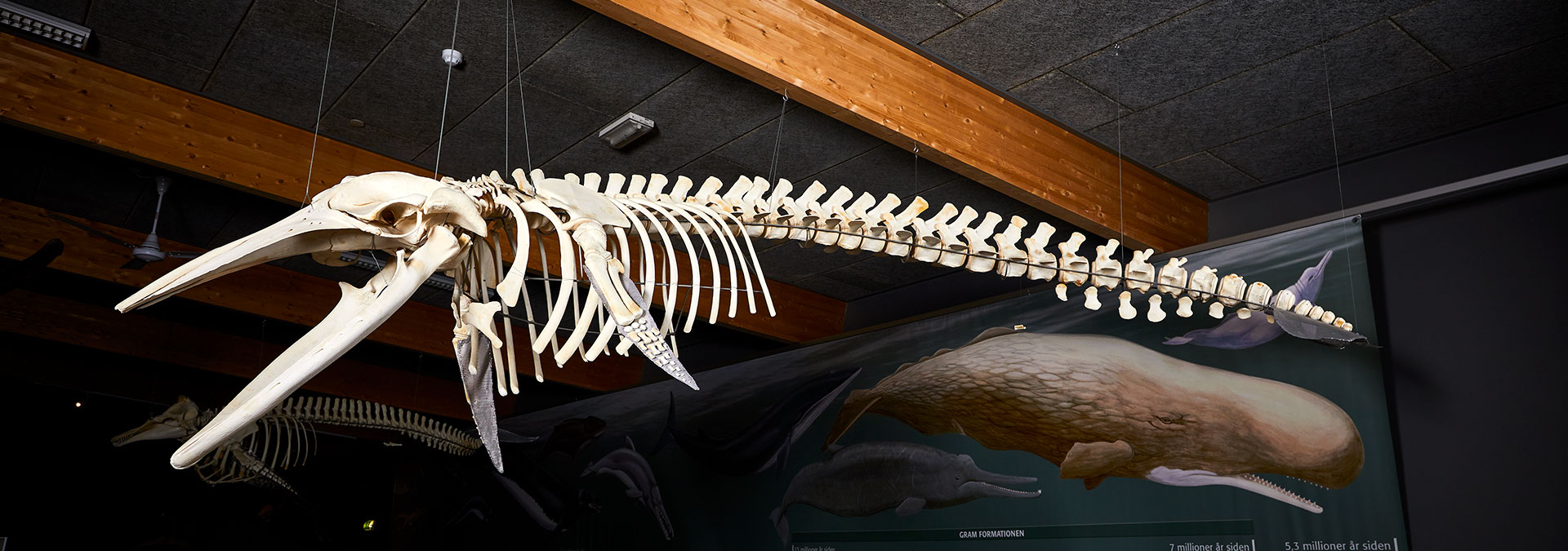 Aktuelle forskningsprojekter