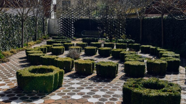 BESØG MUSEETS HYGGELIGE HAVE